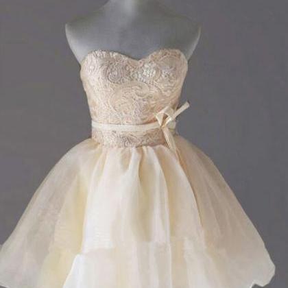 Lovely Champagne Short Organza And Lace Teen Party..