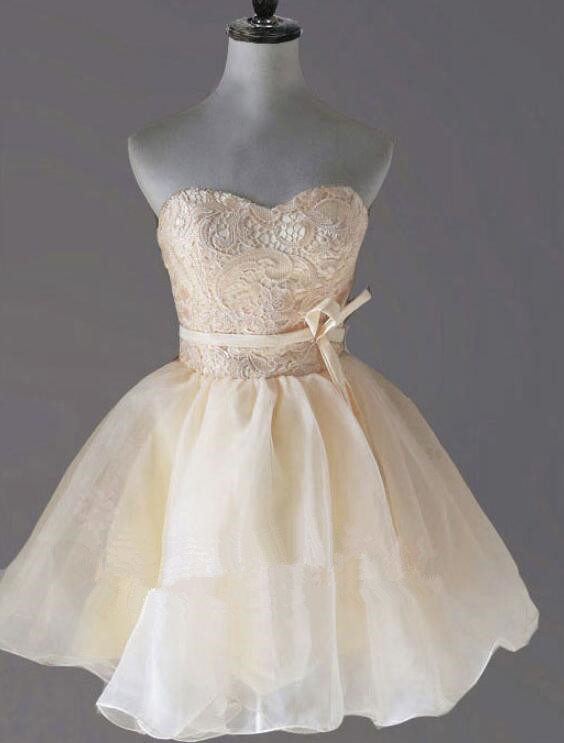 Lovely Champagne Short Organza And Lace Teen Party Dress, Short Prom Dress, Graduation Dresses