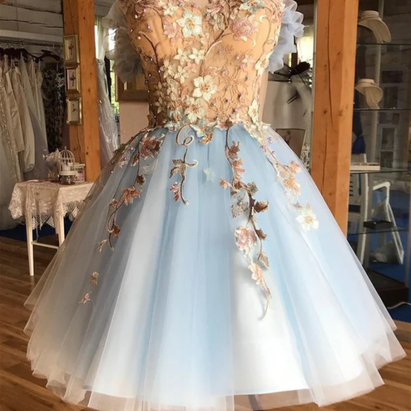 Light Blue Lace Long Sleeve Short Homecoming Graduation Evening Dress main image 0